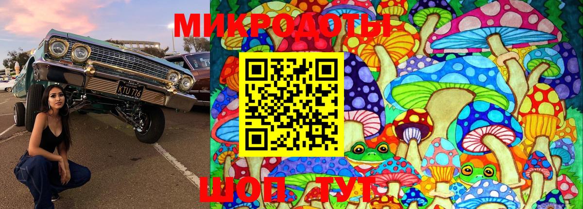 Галлюциногенные грибы Psilocybe Ханты-Мансийск